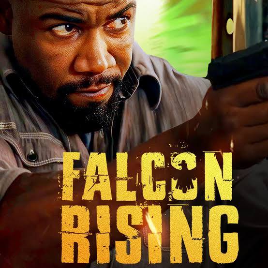 Falcon Rising 2014