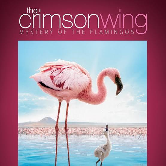 The Crimson Wing 2008