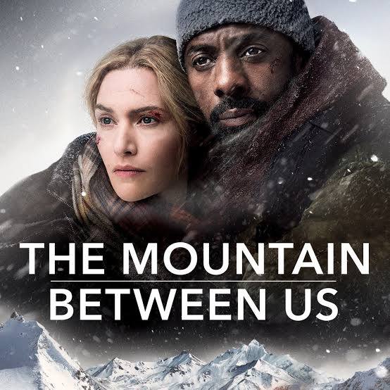 The Mountain Between Us (2017)